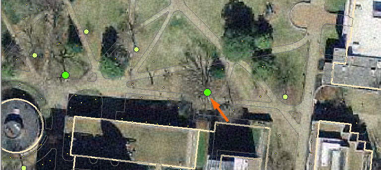 library lawn, present