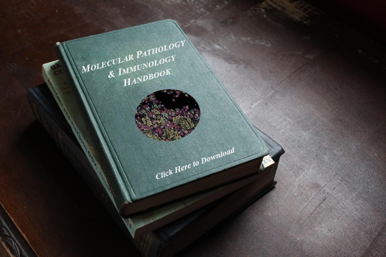 Vanderbilt University MPI Graduate Handbook