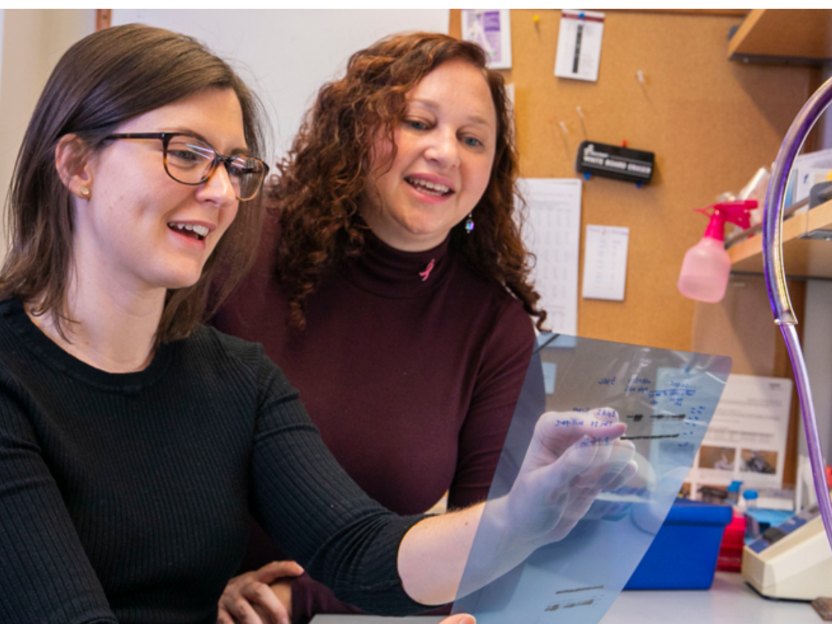 Two VUSM researchers smile while collaborating on a research project in a lab.