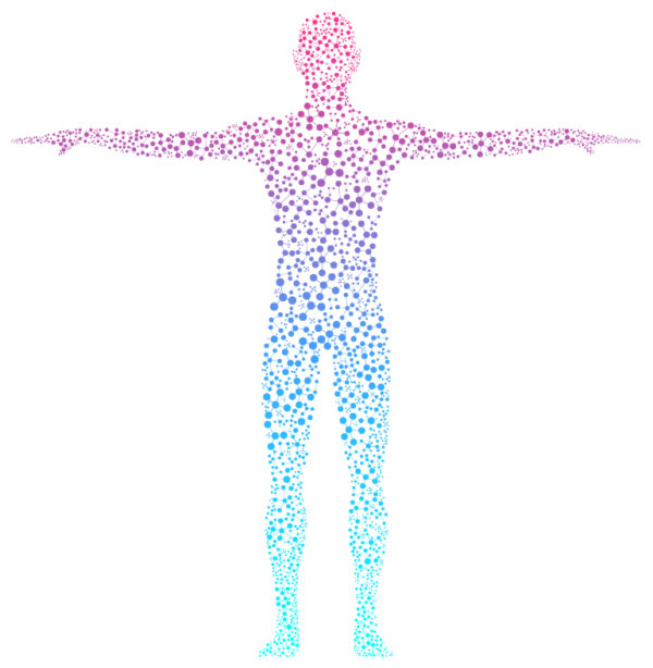 The 8th Sense: Interoception | Pediatric Occupational & Physical Therapy |  Sensory Pathways 4 Kids