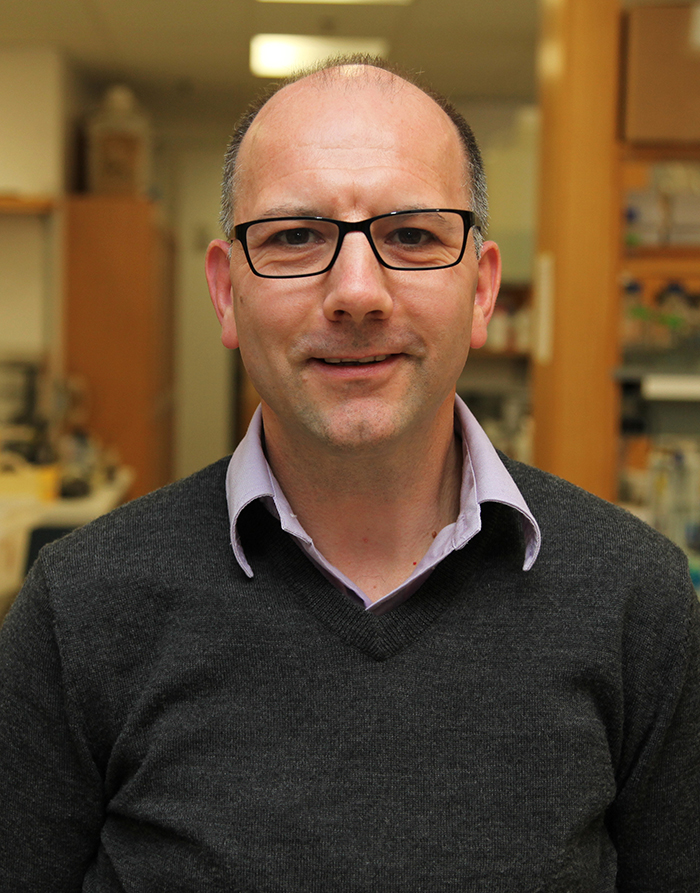 Headshot of Gregor Neuert