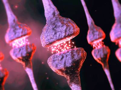 A 3D rendering of several neural synapses.