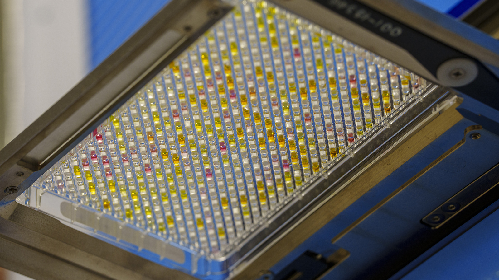 MED Basic Sciences - 2025 Vanderbilt Institute of Chemical Biology