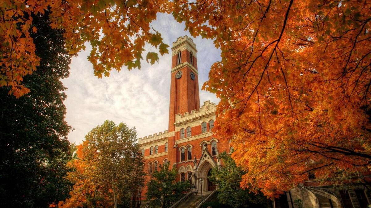 fall leaves in front of Kirkland