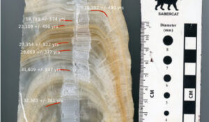 Geochemical analysis from the last ice age may hold clues for future climate change and preparedness strategies