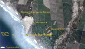 Analysis of ancient teeth reveal clues about how sociopolitical systems grow