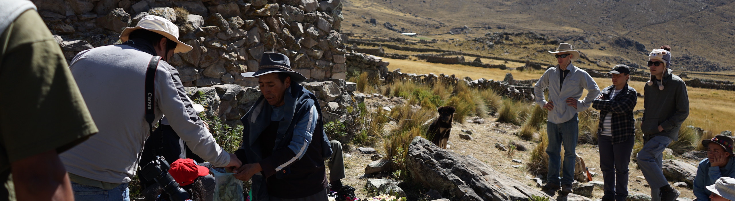 photo of group of people in the field