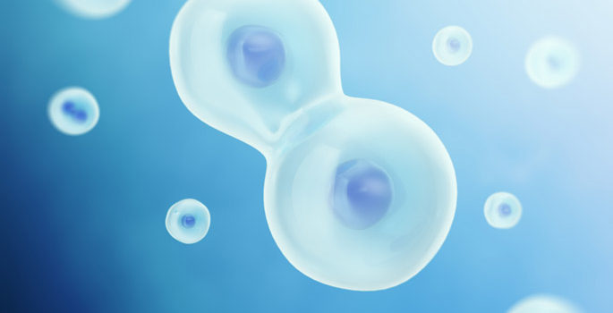 A Conservative Defense: Downstream NFLs resist evolutionary blitzes