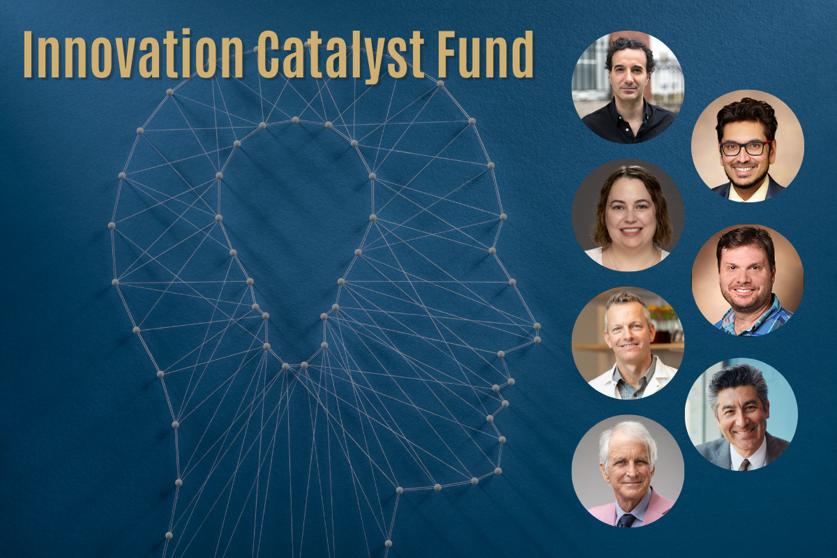 Seven Vanderbilt faculty research projects get innovation catalyst funding