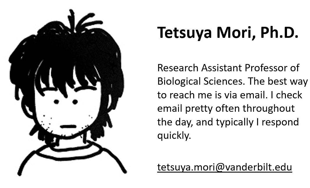 twtsuya_mori_biography