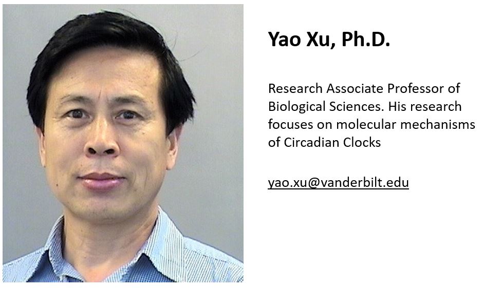 Yao_Xu_Biography