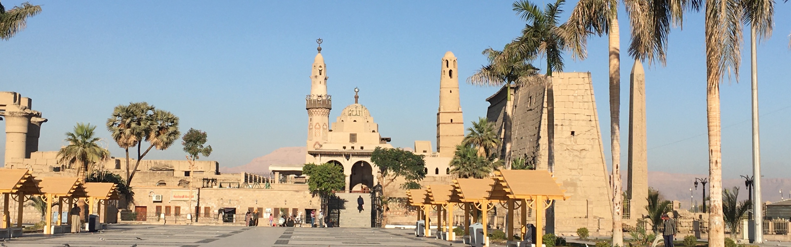 Religious Studies header image, palm trees and building in background