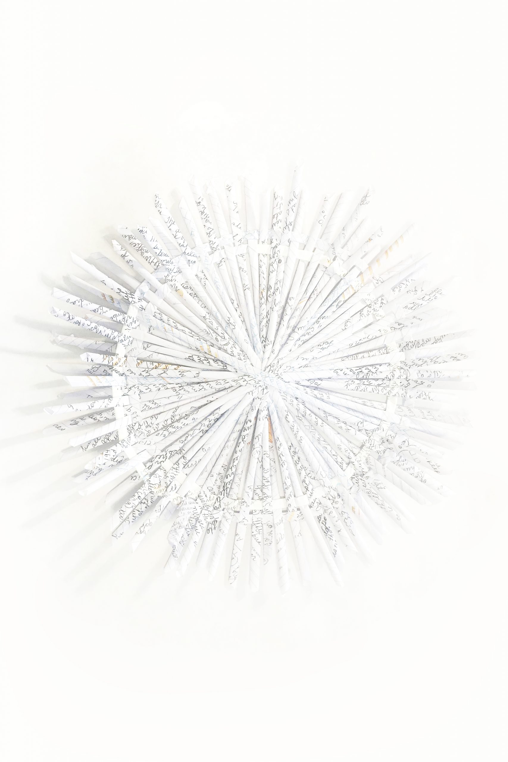 Vanderbilt University