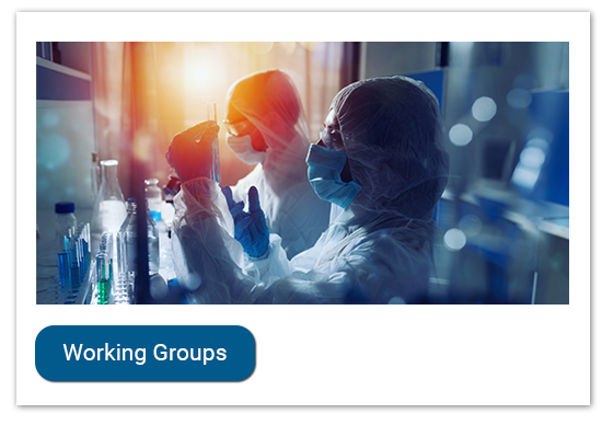 Vanderbilt University Medical Center Department of Obstetrics and Gynecology Research Working Groups