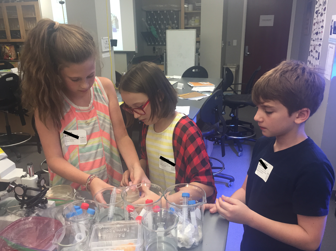 Vanderbilt University