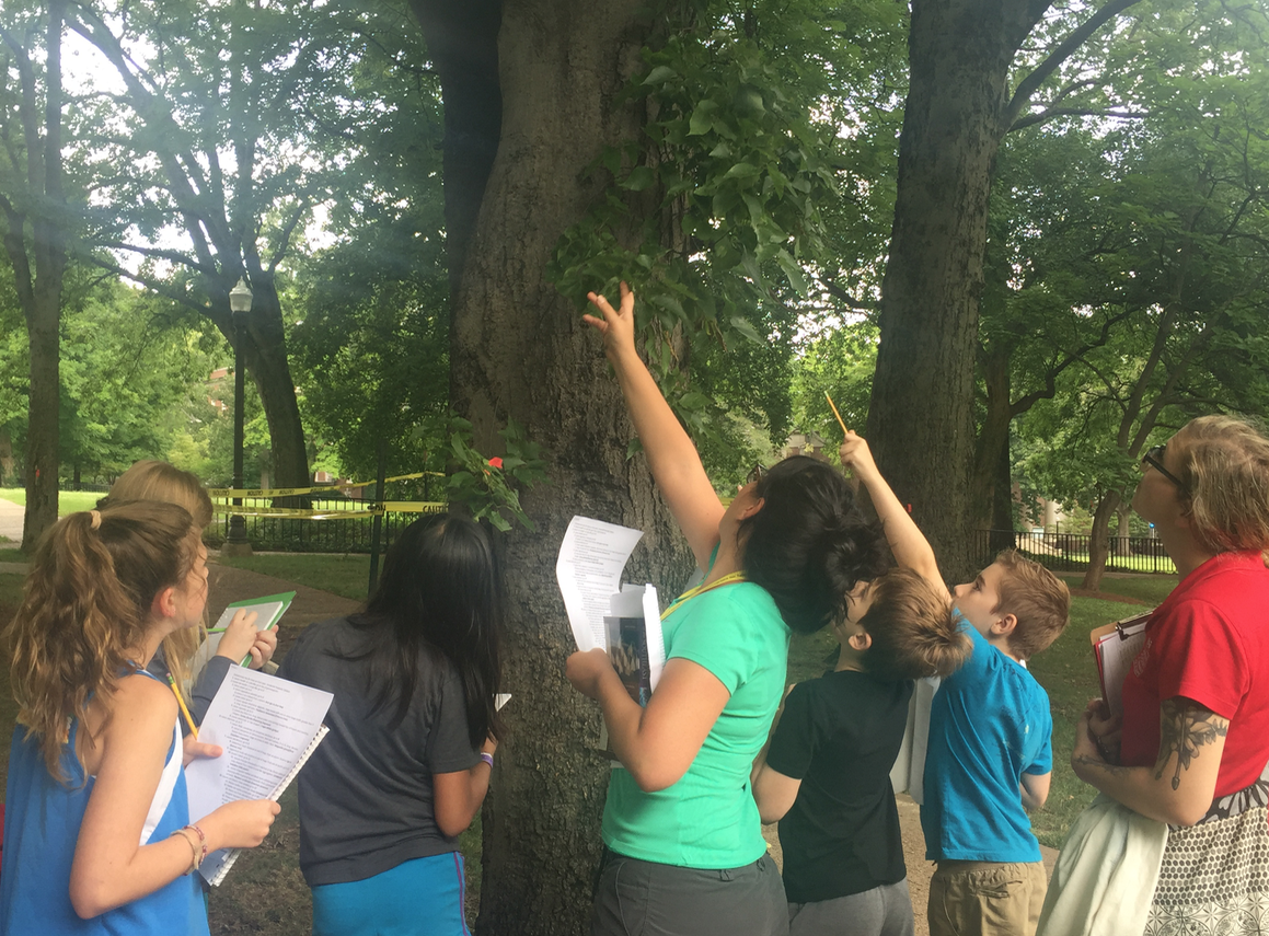 Vanderbilt University