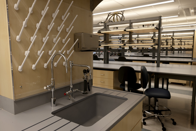 The open-design, transdepartmental space reflects VUMC’s commitment to fostering cutting-edge research in infectious diseases and immunology. (photo by Donn Jones)