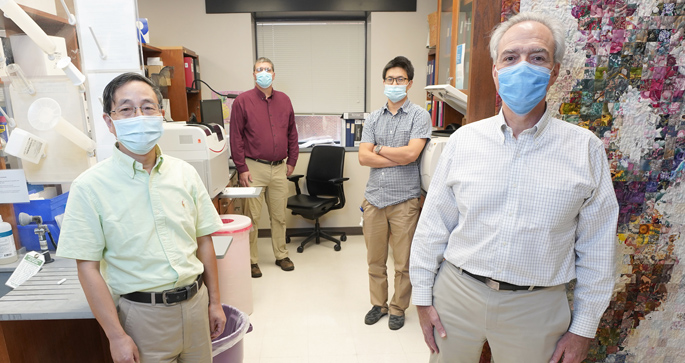 From left, Huan Tao, MD, PhD, Sean Davies, PhD, Jiansheng Huang, PhD, and MacRae Linton, MD, led the study that identified a potential new treatment for atherosclerosis.