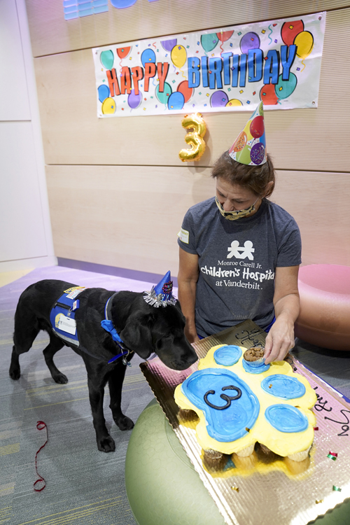 Monroe Carell Jr. Children’s Hospital at Vanderbilt recently held a birthday party for its new facility dog, Squid. The party in Seacrest Studio was livestreamed to patients and featured Squid performing a few tricks and, of course, birthday cake, which he received from his handler, Leslie Grissim.