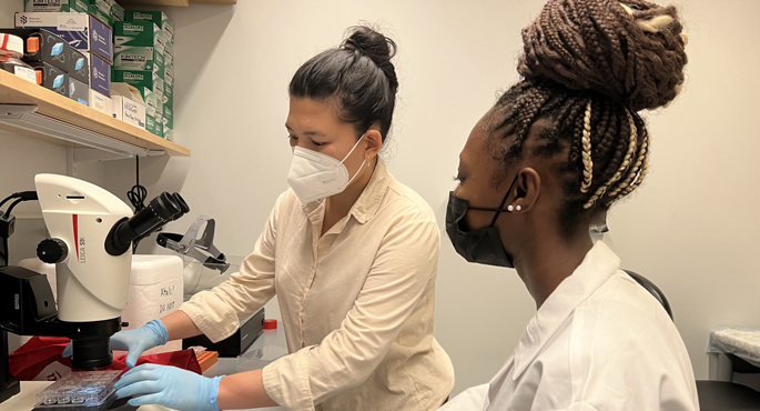 Aspirnaut Sahra Hassan, right, a senior at Burlington High School in Burlington, Vermont, worked on mitochondrial DNA maintenance with postdoctoral scientist Iva Chitrakar, PhD.