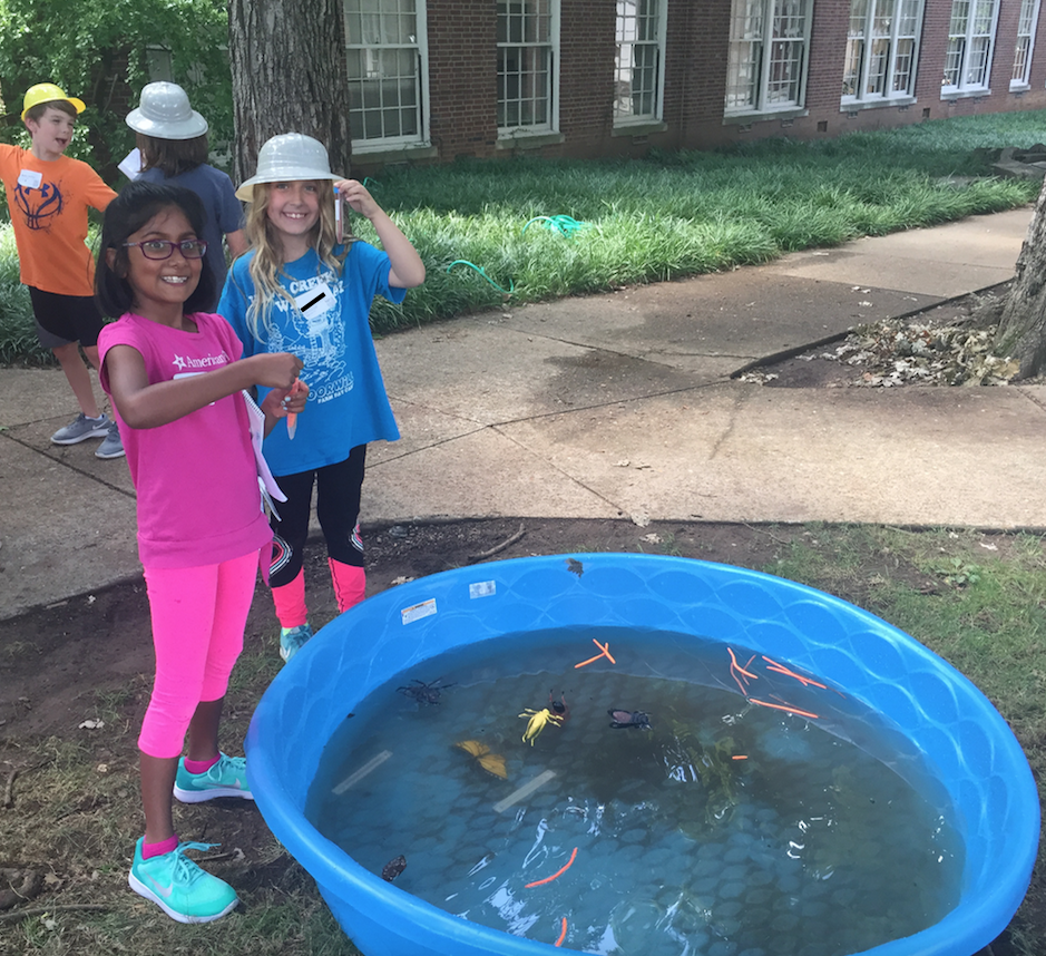 Vanderbilt University