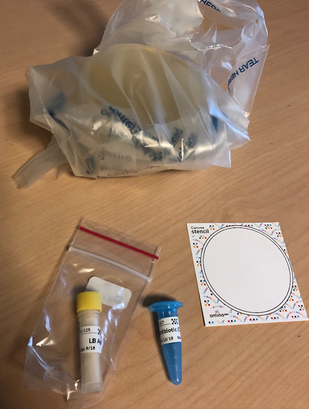 Vanderbilt University