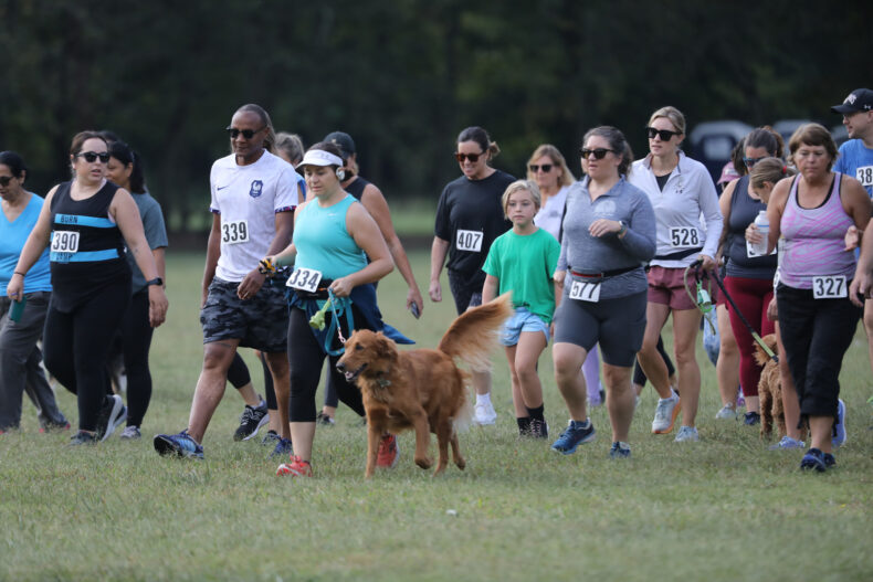 Shade Tree Trot. (photo by Donn Jones)