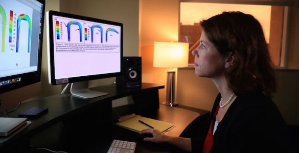 Amanda sitting at her desk looking at fluid dynamics models on a computer screen