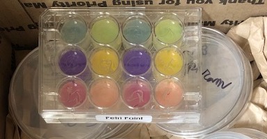 Vanderbilt University