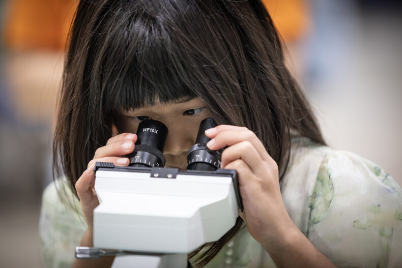 Chenyu Zhu takes a look at tardigrades, or water bears, through a microscope. (photo by Erin O. Smith)