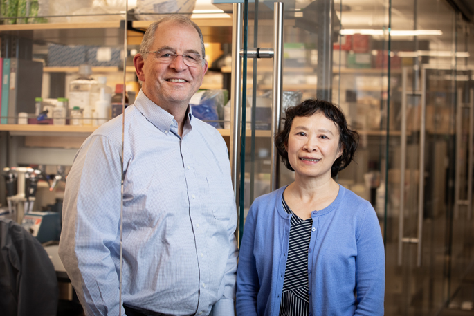 Mark Denison, MD, and Xiaotao Lu, MS, are among those on a new list of scientists whose papers have been cited the most frequently by other researchers. (photo by Erin O. Smith)