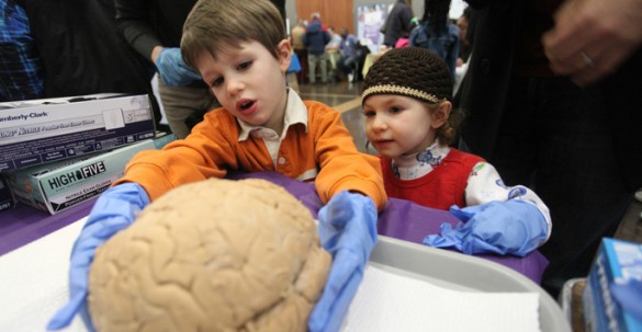 SA Brain Blast DD004