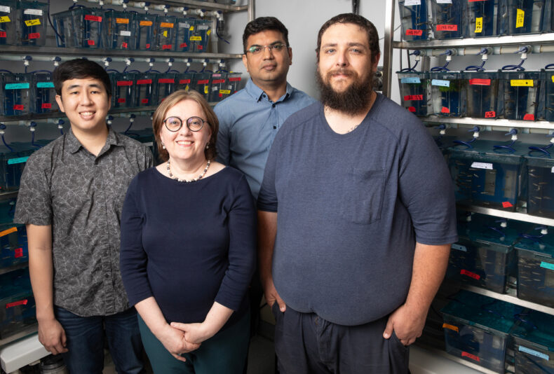 From left, graduate student Taylor Nagai, Ela Knapik, MD, senior research scientist Dharmendra Choudhary, PhD, and research assistant Cory Guthrie in Knapik’s lab surrounded by tanks of zebrafish, the model organism that drives their research. (photo by Erin O. Smith)