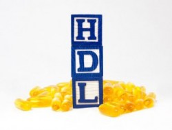 hdl_sized