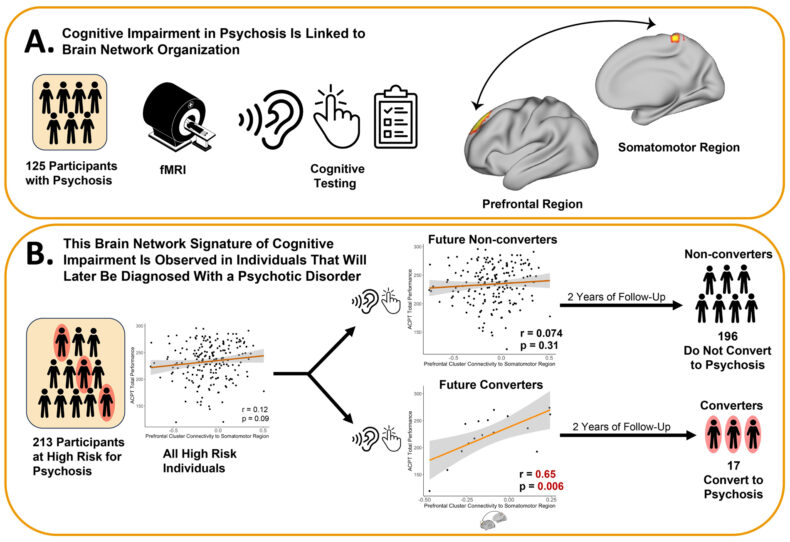 After connecting the dots between cognitive impairment and brain network organization in people diagnosed with psychotic disorders, researchers discovered the same link in those who hadn’t had their first psychotic episode.
