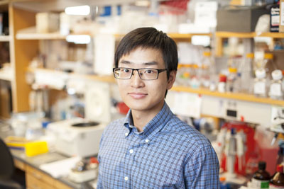 Jing Yang, Ph.D., Biochemistry, in research laboratoryby : Susan Urmy