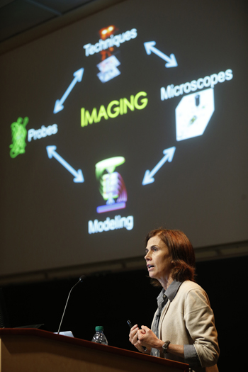 SA Disc Lippincott Schwart copy