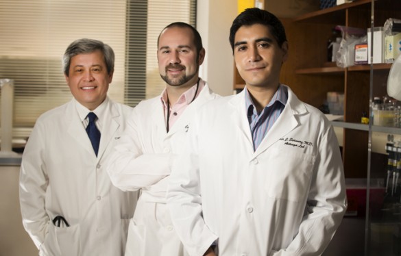 Arteaga group JH0002