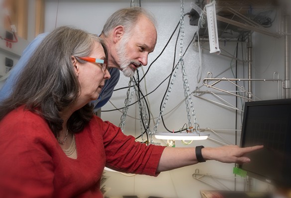 researchers looking at computer screen