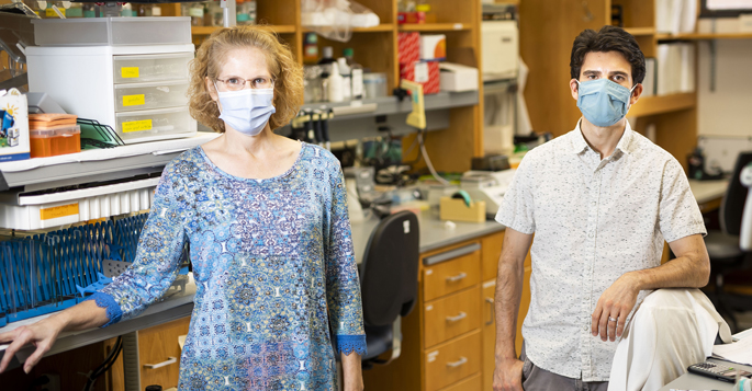 Michelle Southard-Smith, PhD, Aaron May-Zhang, PhD, and colleagues have created a molecular ‘atlas’ of genes expressed by the neuronal cells within the intestine that coordinate the functions of the gastrointestinal (GI) tract.