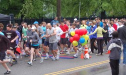 ShadeTree Group 2012