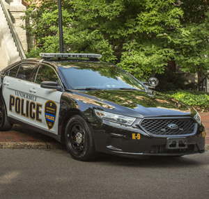 (photo by Daniel Dubois)