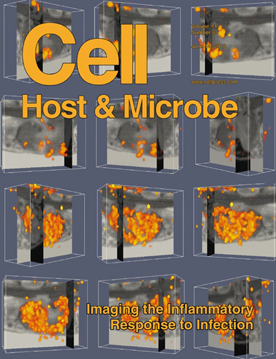 Cell cover2