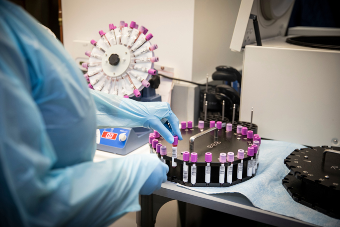 Ann Walker, Research Assistant III, spins blood samples on a carousel prior to DNA extraction.