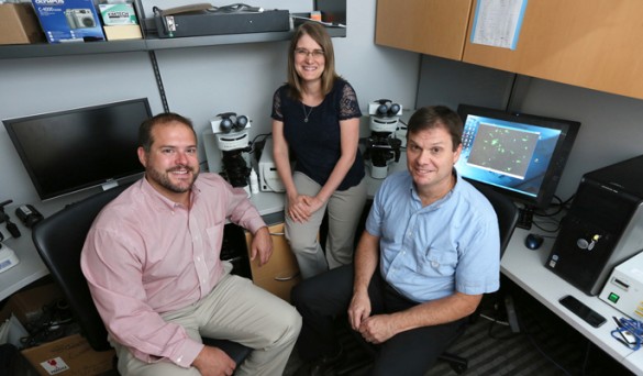 Nanoparticle team AR