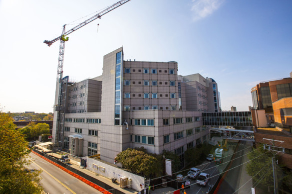 (photo by Anne Rayner)