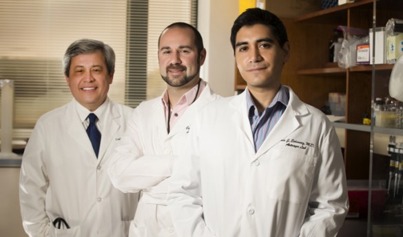 Arteaga Balko Schwarz JH