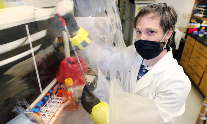 Aaron Wexler, PhD, works with C. diff in a special "anaerobic chamber" because the bacteria die if they are exposed to oxygen.