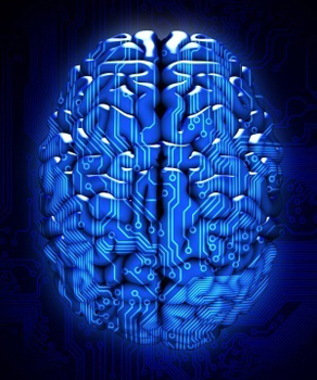 brain circuit_iStock
