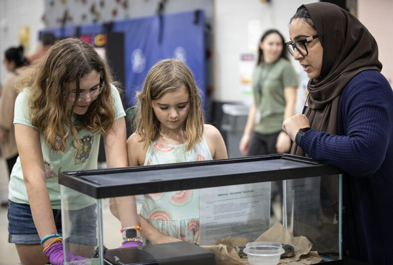 Daisy Pennock, 11, and June Pennock, 9, talk with Dilan Mohammed, a formal programs manager at the Adventure Science Center, about an Eastern Chain Kingsnake. (photo by Erin O. Smith)
